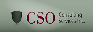 CSO Consulting Services Inc.